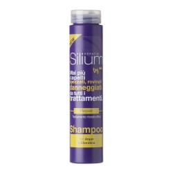 Shampoo repair trattamento ricostruttivo - Silium 250 ml